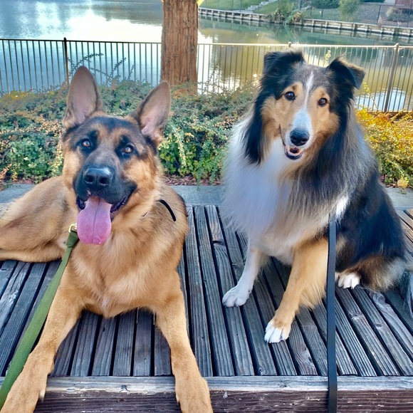 Meet your Posher - Picture 2 of 2